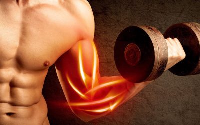 ALL YOU NEED TO KNOW ABOUT GLUTAMINE.